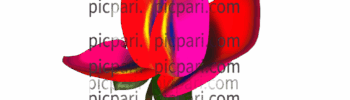 flower design png